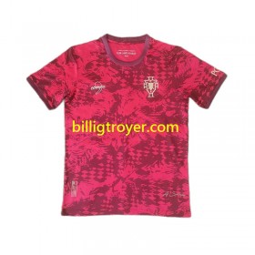 Billige Fotballdrakter Portugal Special Edition Hjemmedraktsett Kortermet